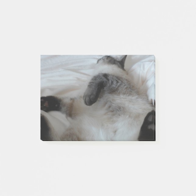 Bloco De Notas Gato (Frente)