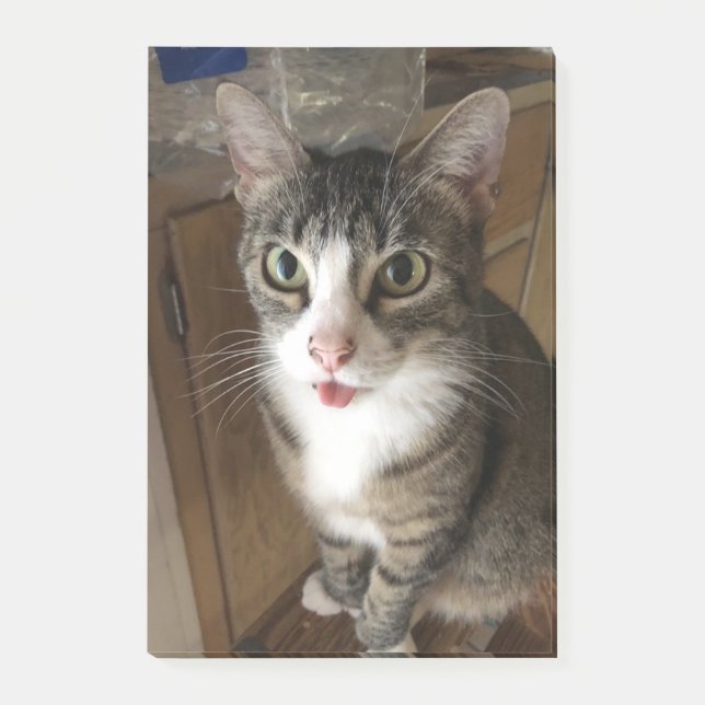 Bloco De Notas Gato (Frente)