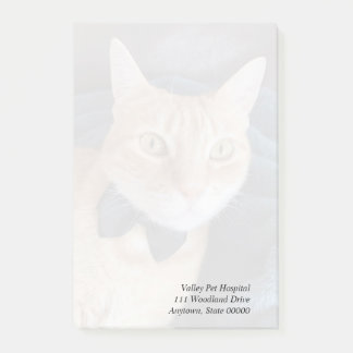 Bloco De Notas gato arco