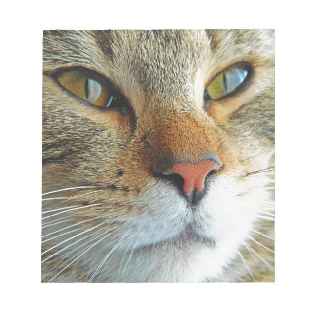 Bloco De Notas Gato Bonito (Frente)