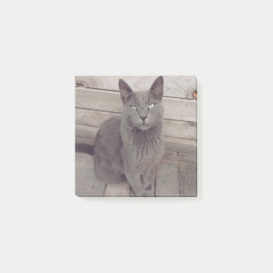 Bloco De Notas Gato Cinza