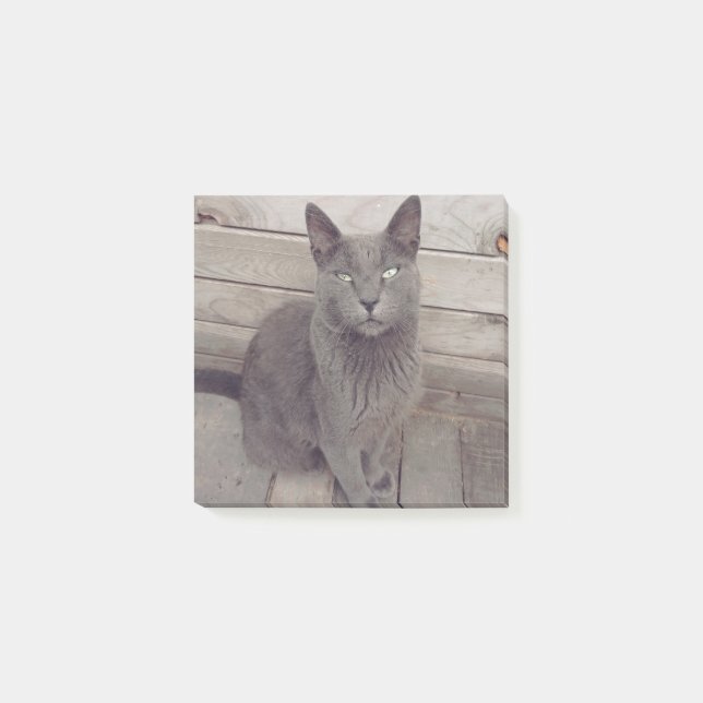 Bloco De Notas Gato Cinza (Frente)