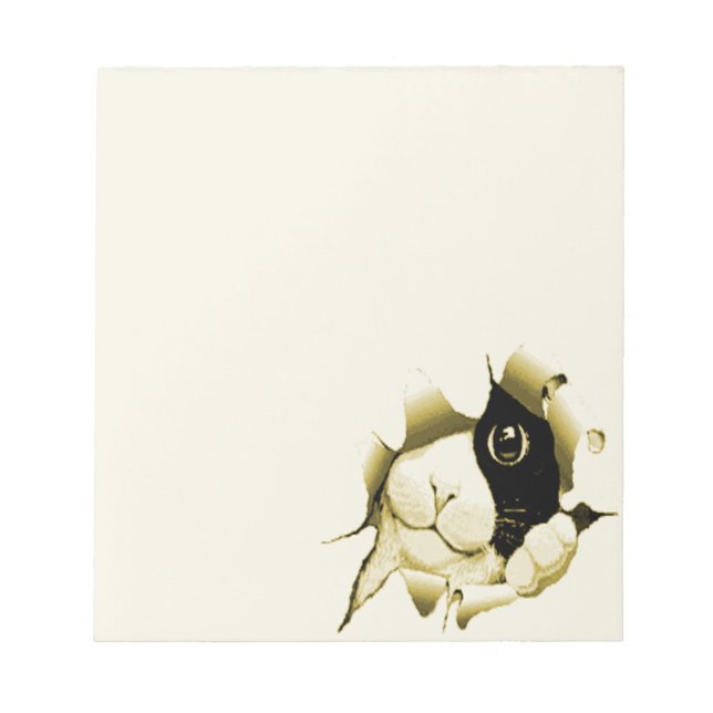 Bloco De Notas Gato Curioso (Frente)