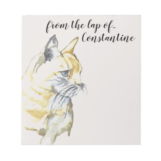 Bloco De Notas Gato de Cana Laranja Comprimido Branco do colo de (Frente)