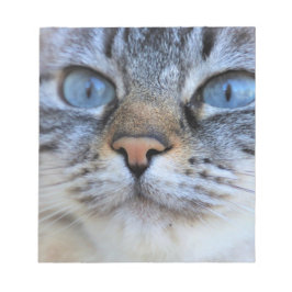 Bloco De Notas Gato de cinza