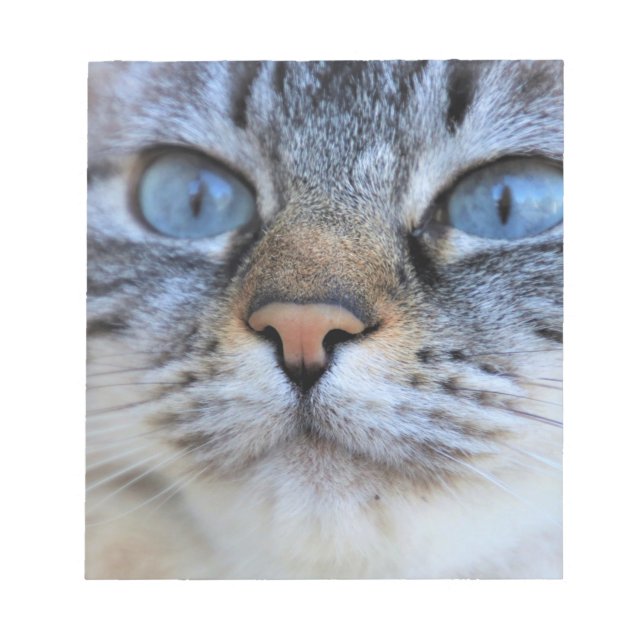 Bloco De Notas Gato de cinza (Frente)