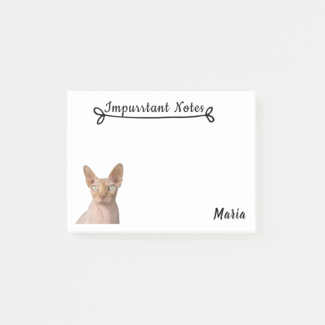 Bloco De Notas Gato de Sphynx (Frente)