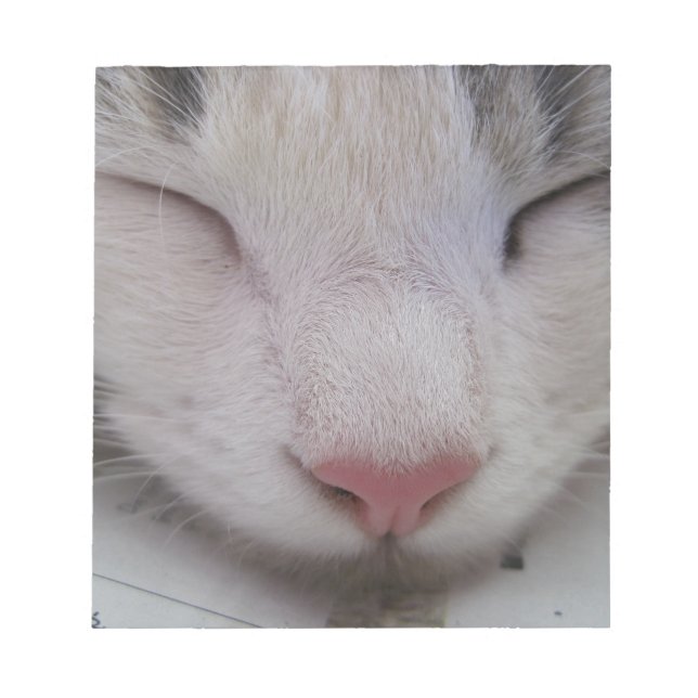 Bloco De Notas Gato Dormindo (Frente)