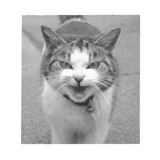 Bloco De Notas Gato Irritado (Frente)