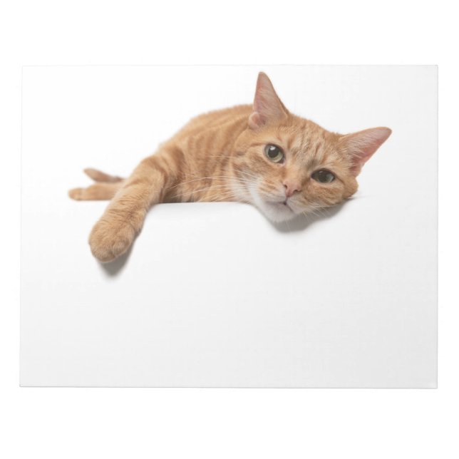 Bloco De Notas Gato Laranja Deitado (Frente)