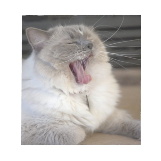 Bloco De Notas gato Neva Masquerade bocejando (Frente)