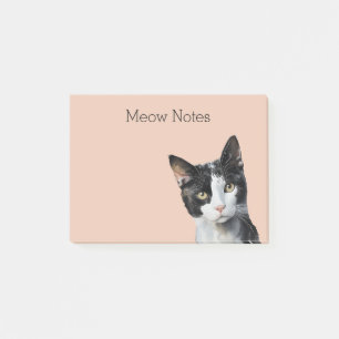 Bloco De Notas Gato Preto de Pêssego e Gatinho Branco