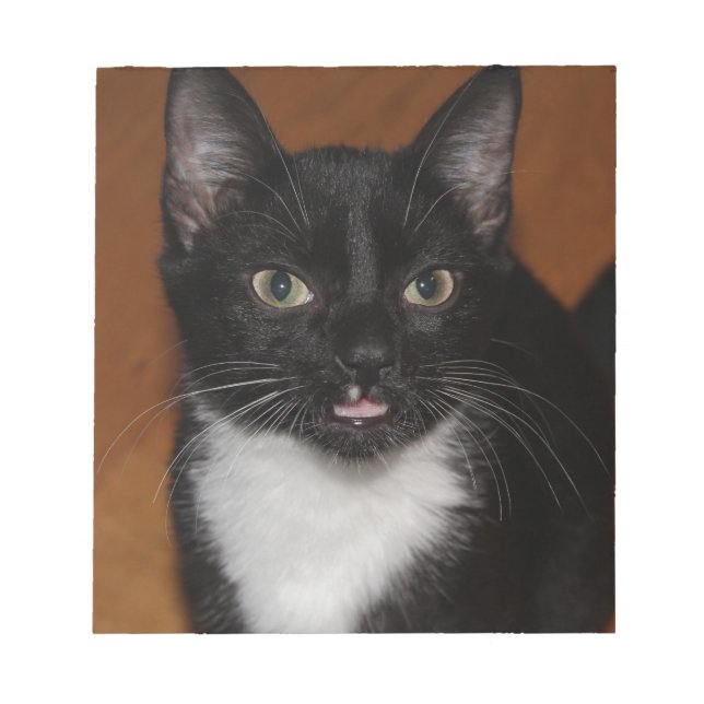 BLOCO DE NOTAS GATO PRETO E BRANCO (Frente)