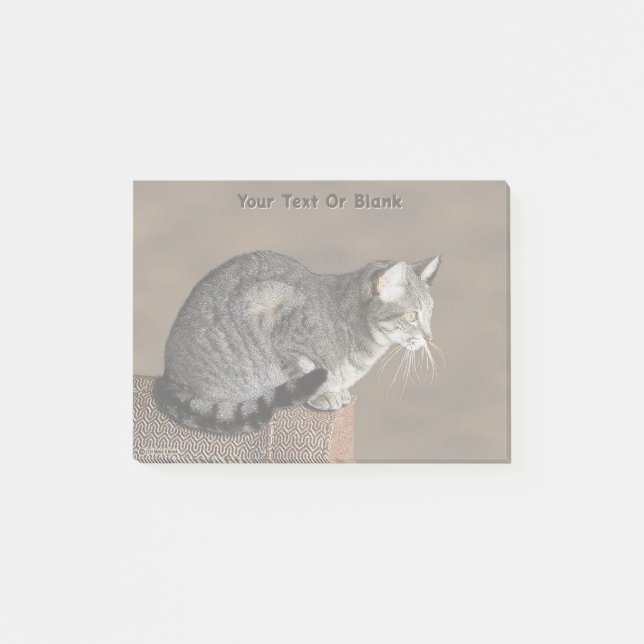 Bloco De Notas Gato Tabby Cinza Defumado (Frente)