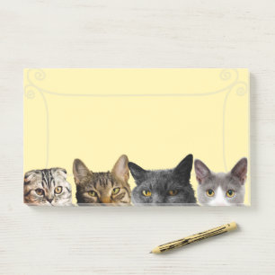 Bloco De Notas Gatos Adoráveis - Alças de Notas Grandes!