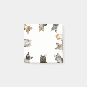 Bloco De Notas Gatos Pão De Gato Engraçado