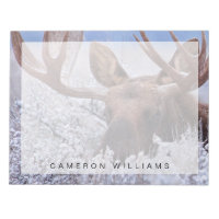Gelo e neve | Grand Teton National Park, Wyoming