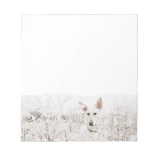 Bloco De Notas German shepherd branco na neve