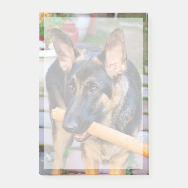 Bloco De Notas German shepherd por Shirley Taylor (Frente)