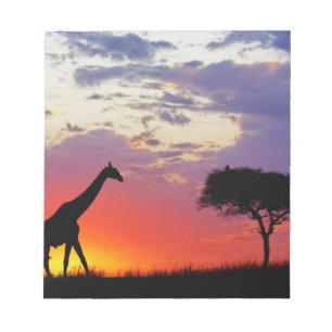Bloco De Notas Girafa silhuetada ao nascer do sol, Giraffa