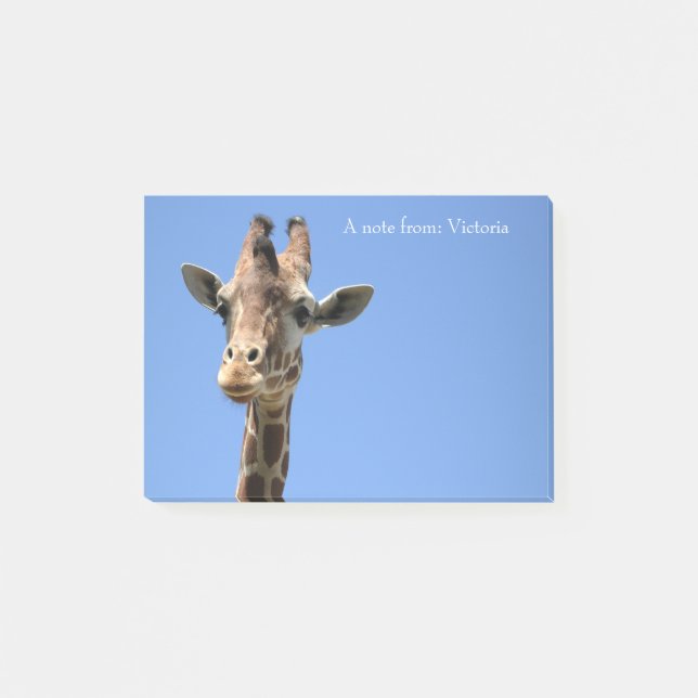 Bloco De Notas Giraffe Name Blue Cute (Frente)