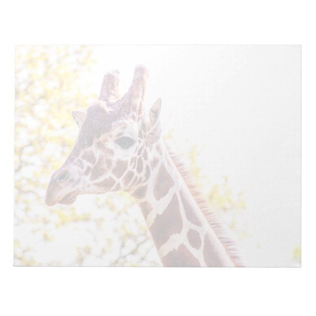 Bloco De Notas Giraffe Portrait (Frente)