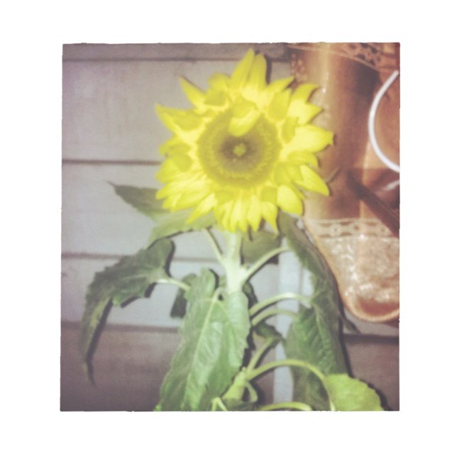 Bloco De Notas girassol nove à tarde (Frente)