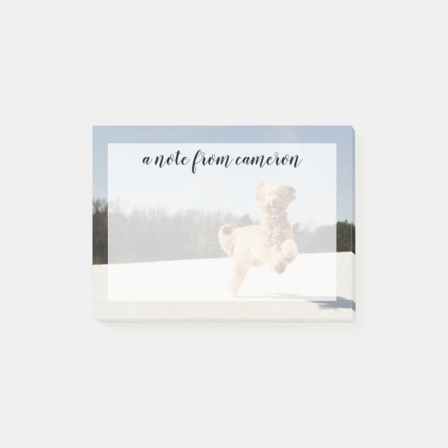 Bloco De Notas Goldendoodle correndo pelo campo (Frente)