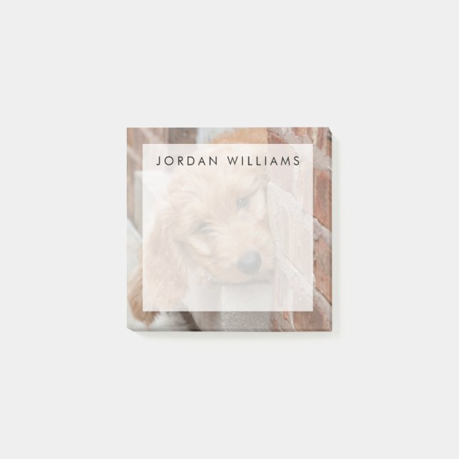 Bloco De Notas Goldendoodododle Puppy Pupeking (Frente)