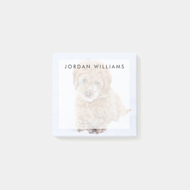 Bloco De Notas Goldendoododododododle Com Neve Em Face (Frente)