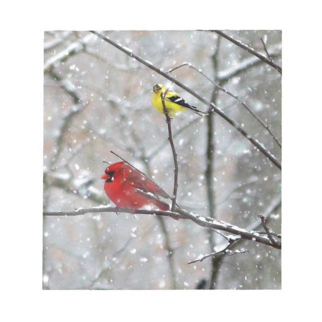 Bloco De Notas Goldfinch E Cardeal (Frente)