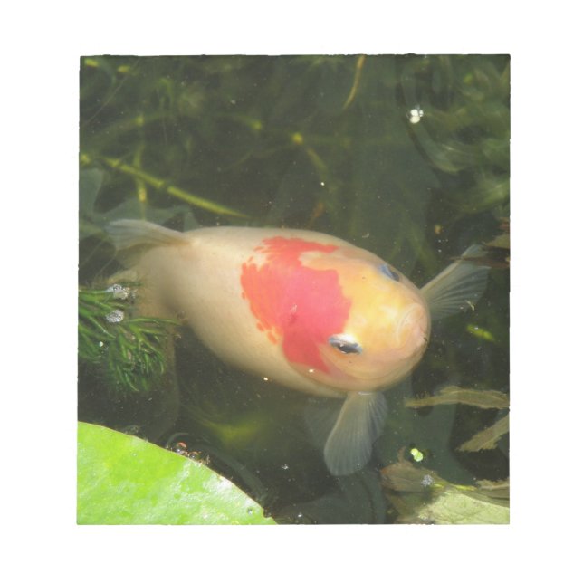 Bloco De Notas Goldfish Notepad (Frente)