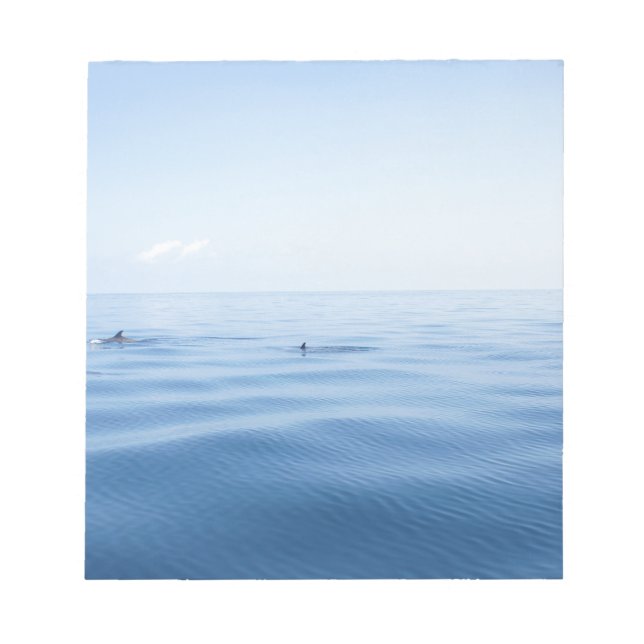 Bloco De Notas golfinho no mar (Frente)