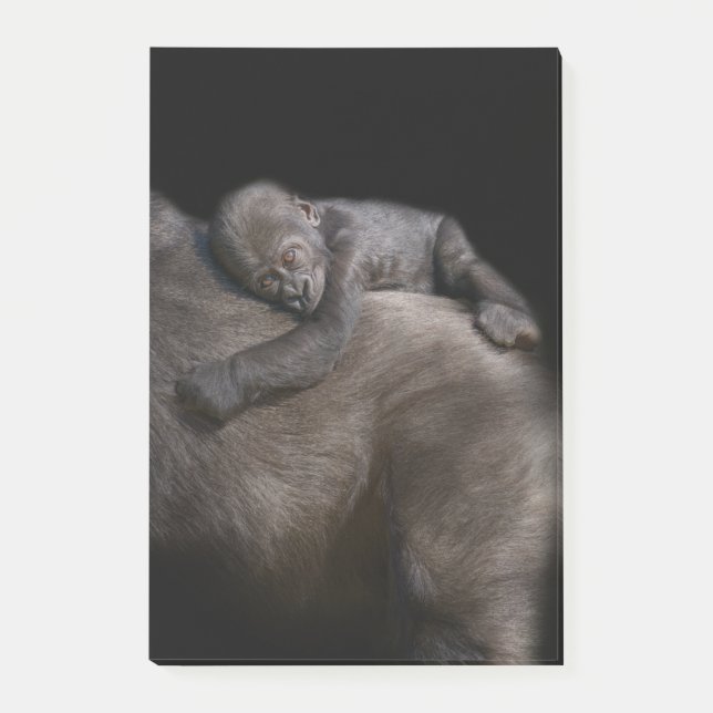 Bloco De Notas Gorilla Baby Dormindo Nas Costas Da Mãe (Frente)
