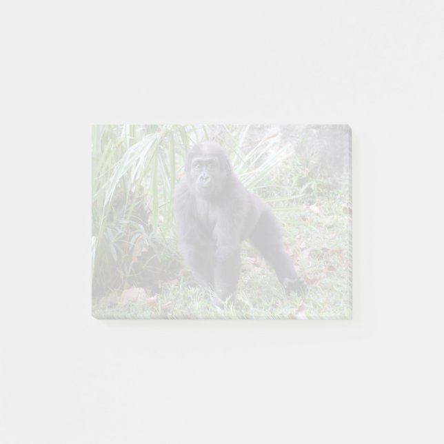 Bloco De Notas Gorilla Moke no zoológico nacional (Frente)