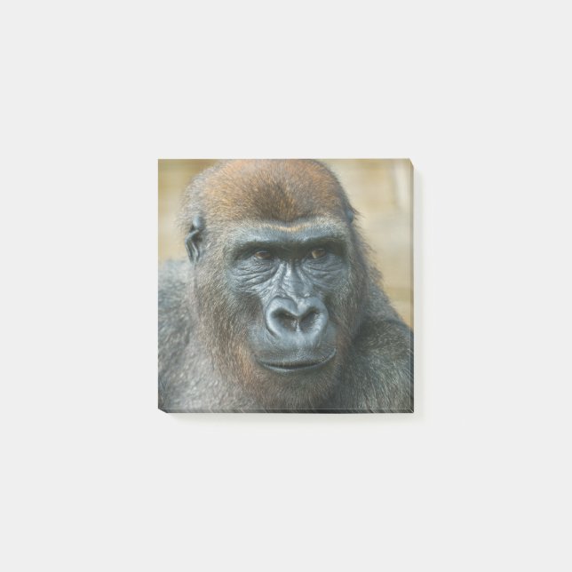 Bloco De Notas Gorilla Paper (Frente)