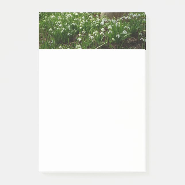 Bloco De Notas Gotas de neve II (Galanthus) Primavera (Frente)
