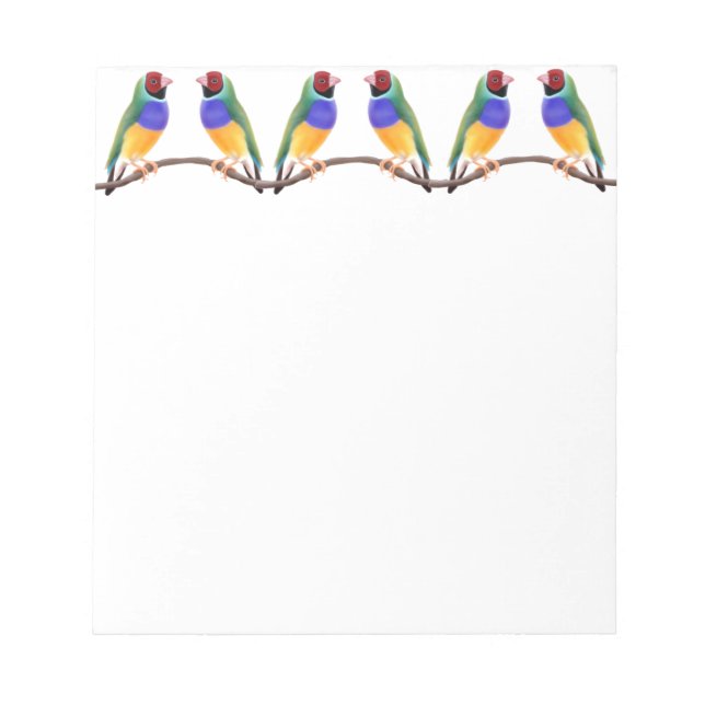 Bloco De Notas Gouldian Colorida Finches Notepad (Frente)