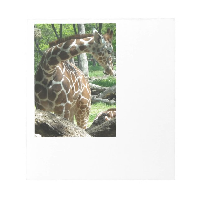 Bloco De Notas Graceful Giraffe (Frente)