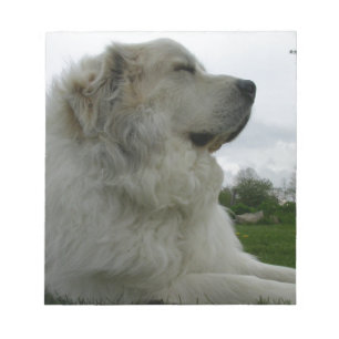 Bloco De Notas Grandes Pyrenees