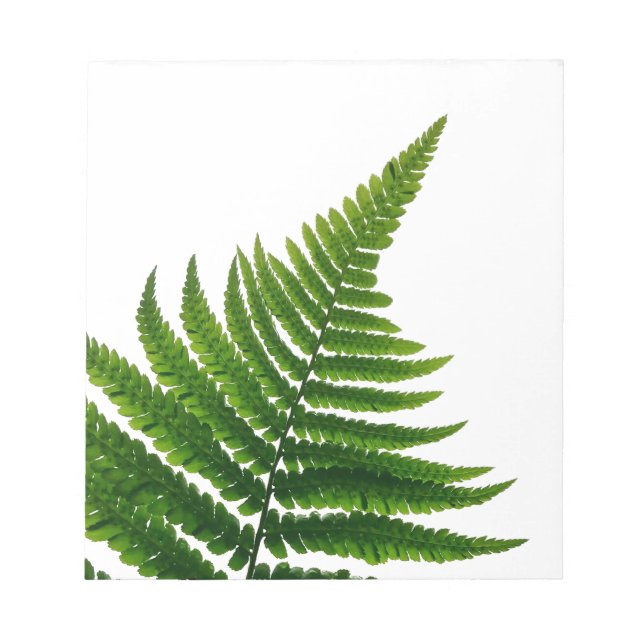 Bloco De Notas Green Fern Print Woodlands Leaf (Frente)