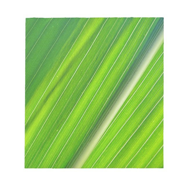 Bloco De Notas Grünes Maisblattdesign (Frente)