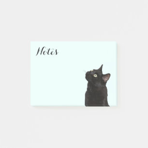 Bloco De Notas Guarda florestal o gato preto