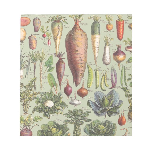 Bloco De Notas Guia Francês Para O Jardim (Frente)