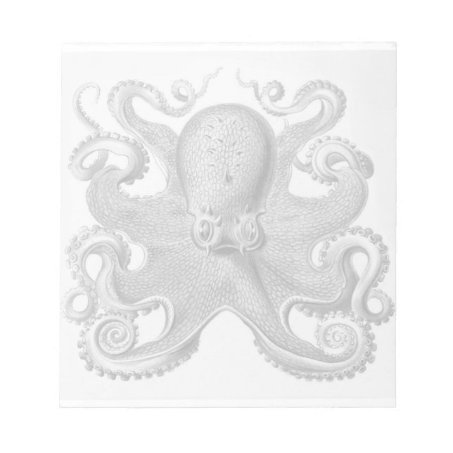 Bloco De Notas Haeckel Octopus Notepad (Frente)
