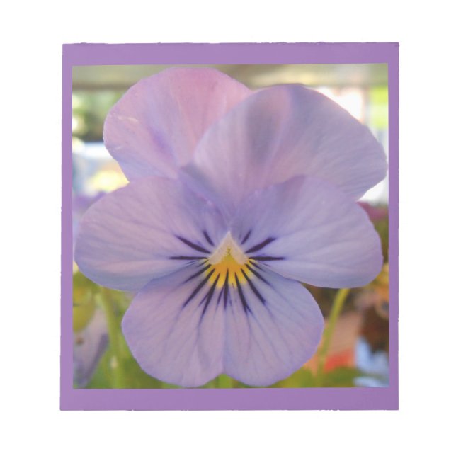 Bloco De Notas Haetzlern (Frente)