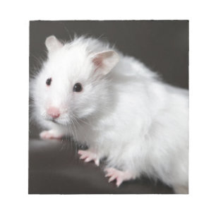 Bloco De Notas Hamster do urso de ursinho