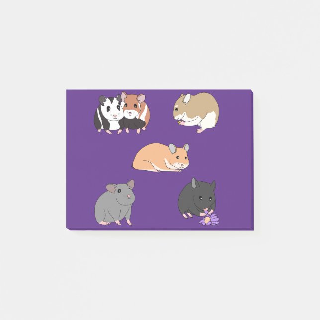 Bloco De Notas Hamsters  (Frente)