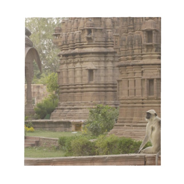 Bloco De Notas Hanuman Langurs ou de cara preta, comum ou cinza (Frente)