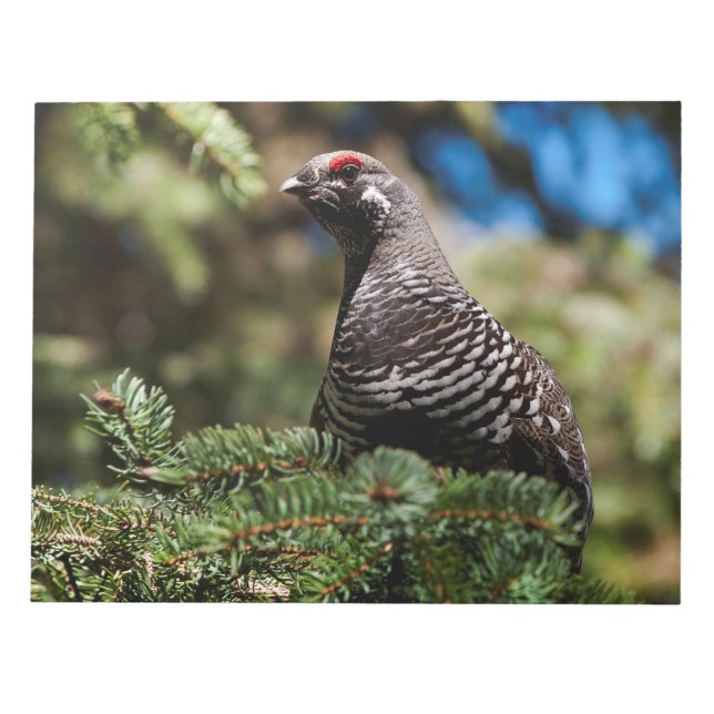 Bloco De Notas Happy Spruce Grouse (Frente)